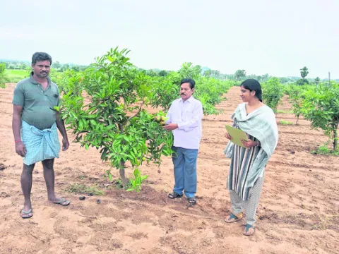 ఉద్యా