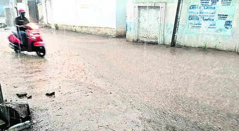 వాన..