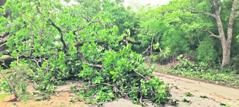 బీభత్