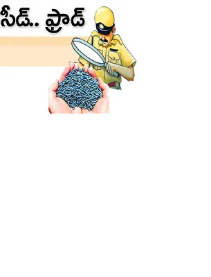 బుధవా