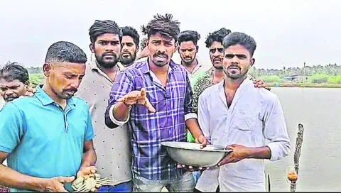పీతల సరఫరాలో ఘరానా మోసం 