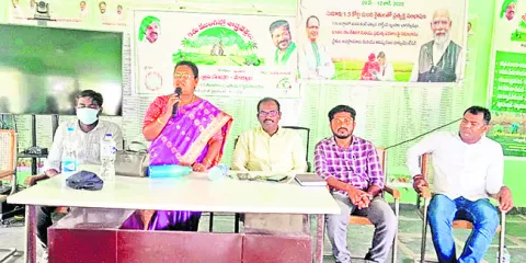 రసాయన ఎరువుల వాడకం తగ్గించాలి