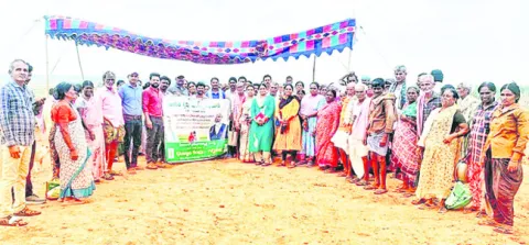 సాంకేతికతను జోడిస్తే అధిక దిగుబడి 