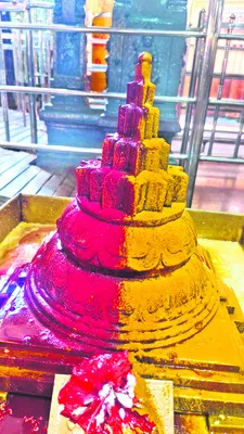 ఘనంగా లక్ష్మీ హోమం 
