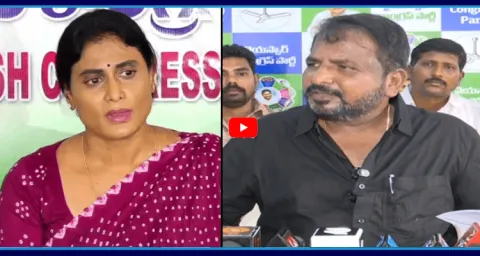 YSRCP Sake Sailajanath Strong Counter YS Sharmila Comments 4