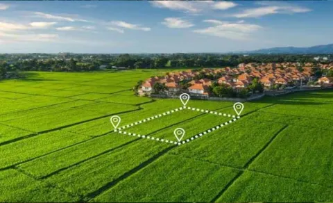 Land auction at Kukatpally Housing Board