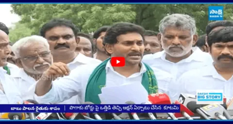 YS Jagan Mohan Reddy Slams Chandrababu 2