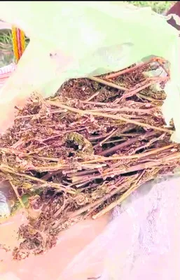 గంజాయి తరలిస్తూ పట్టుబడిన యువకుడు 