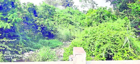 ● సారథి గెడ్డ ఇలా.. సాగునీరు వెళ్లేదెలా..