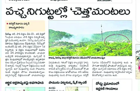 డంపుయ