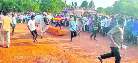 ఉత్సాహంగా  ఎడ్ల బండలాగుడు పోటీలు 