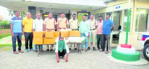 గంజాయ