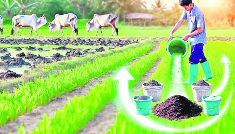 ఆరు నెలలైనా.. ఆచూకీ లేదు!