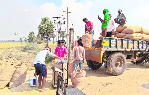 ధాన్యం సేకరణ పూర్తి