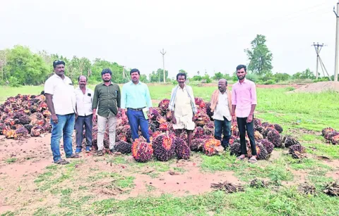 ఇక్కడ