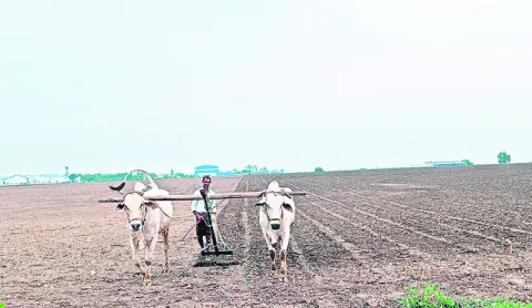 కౌలు రైతులకు సాయమేది..?