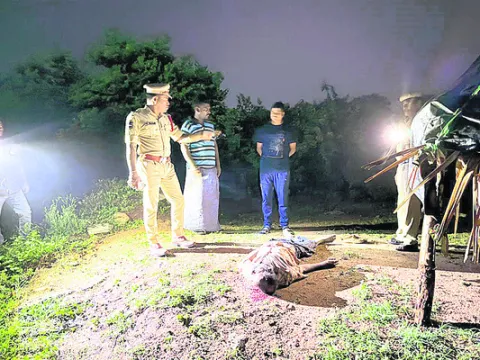 భూ తగ