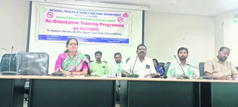 సీజనల్‌ వ్యాధులపై అవగాహన కల్పించాలి 