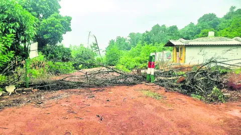 నాగేశ్వరి గుహల్లో గేటు చోరీ 