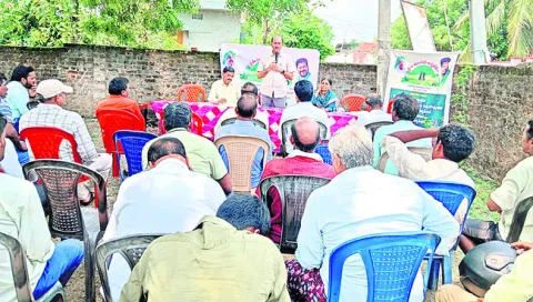 రసాయన ఎరువులు తగ్గించాలి