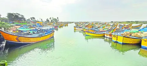 వేటకు