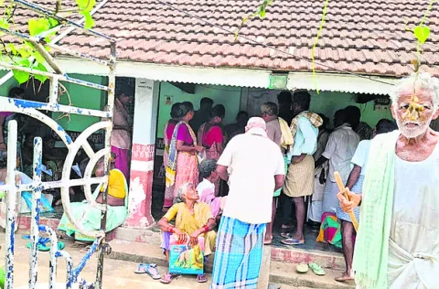 విత్త