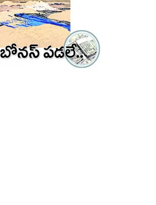 శనివా