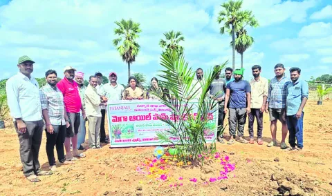 హోటళ్
