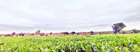 వరుణా.. లేదా కరుణ 