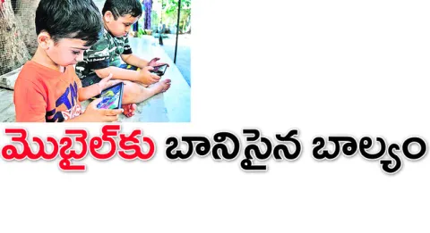  శారీ