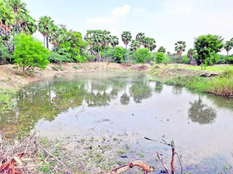 ఫలించ