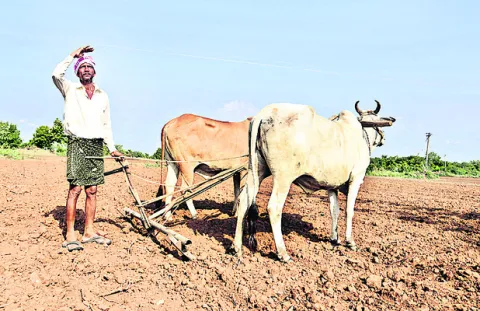 చినుకు జాడేది! 