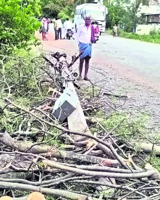 వాట్స