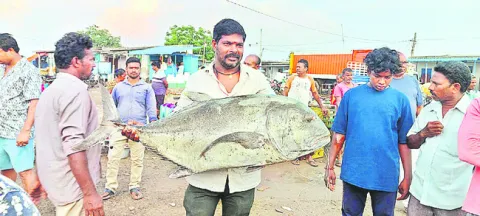 చేపలొ