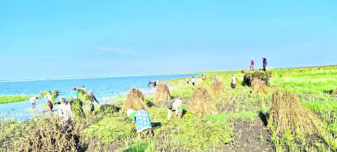 కృష్ణ