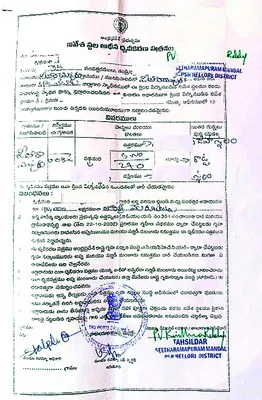 నకిలీ ఇళ్ల పట్టాల కలకలం