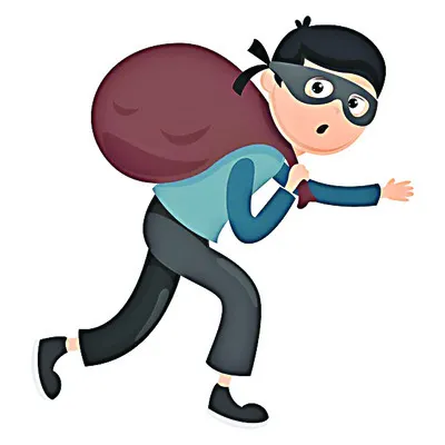 ● గప్‌చుప్‌ దొంగలు  
