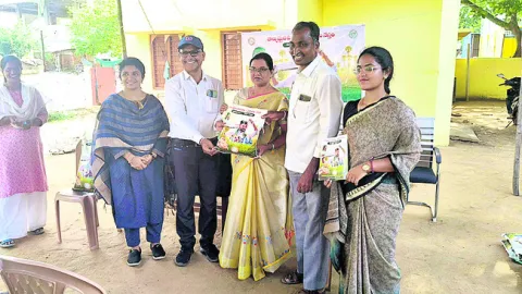 ఊరిలోనే విత్తనోత్పత్తి