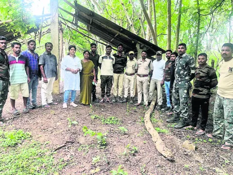 ఏనుగుల సంచారంతో అప్రమత్తంగా ఉండాలి