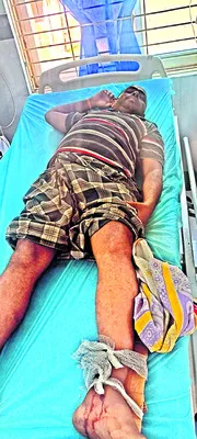 విద్య