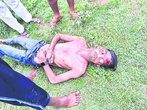 గోదావ