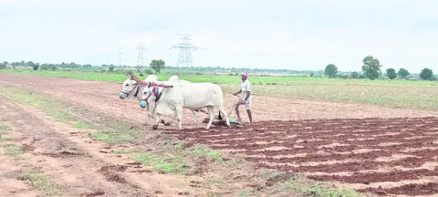 రైతుక