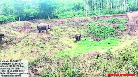 నేడు 