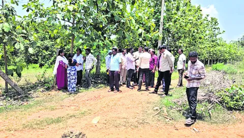 పునరా