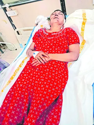 దోపిడ
