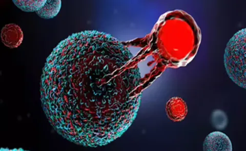 cancer risk this Doctor warns against these 6 everyday foods that may raise