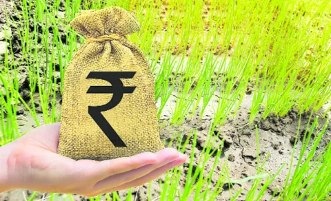 రైతు భరోసా వచ్చిందోచ్‌