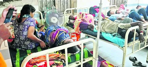 నేలపై