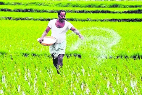 యూరియ