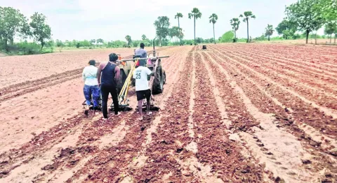 ఒక ట్రాక్టర్‌.. మూడు గుంటుకలు